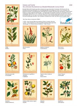 Kalender 2020 Elizabeth Balck Curious Herbal Indexseite
