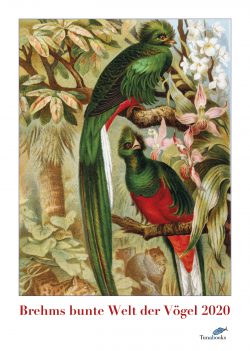 Kunstkalender. Vogel-Illustrationen aus Brehms Tierleben